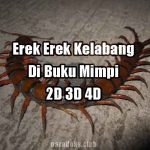 Erek Erek Kelabang Di Buku Mimpi Kelabang 2D 3D 4D